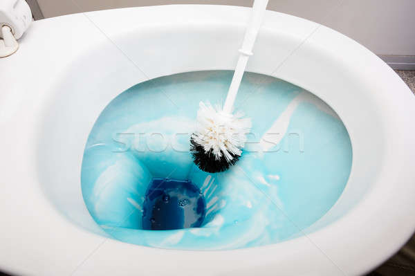 Person Cleans A Toilet With A Scrub Brush Stock photo © AndreyPopov