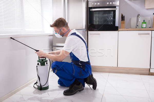 Trabajador químicos jóvenes masculina cocina casa Foto stock © AndreyPopov