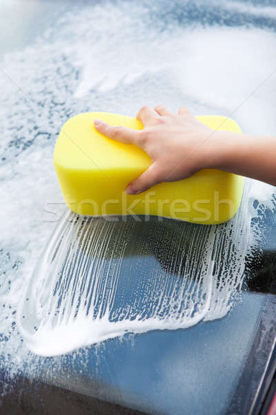 Hand Washing Windscreen With Yellow Sponge Stock photo © AndreyPopov