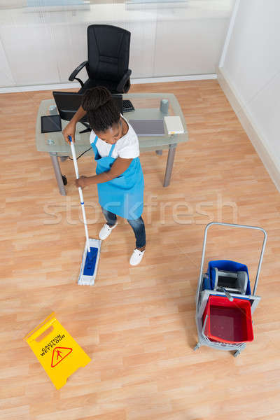 Woman Cleaning Hardwood Floor With Mop Stock photo © AndreyPopov