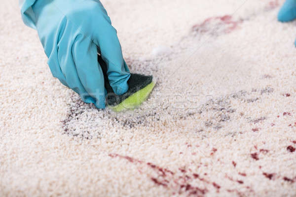 Persona pulizia macchia tappeto spugna primo piano Foto d'archivio © AndreyPopov