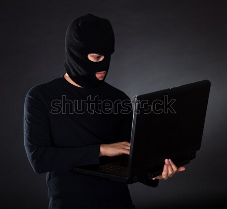 Burglar on Computer Stock photo © AndreyPopov