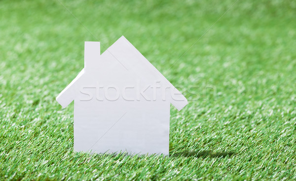 Foto stock: Casa · modelo · herboso · campo · primer · plano · construcción