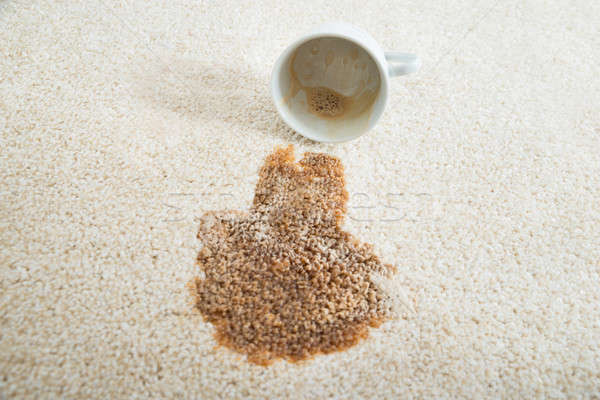 Coffee Spilling From Cup On Carpet Stock photo © AndreyPopov