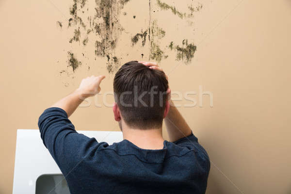 Man Pointing At Mold On Wall Stock photo © AndreyPopov