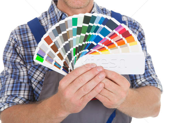 Stock photo: Handyman Showing Fanned Color Swatches