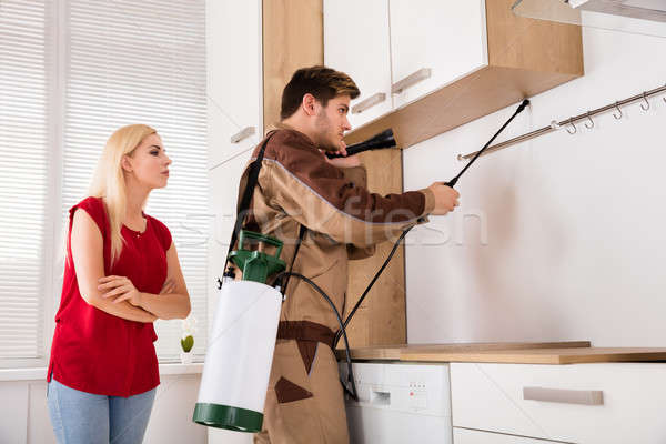 Male Worker Spraying Insecticide In Kitchen Stock photo © AndreyPopov