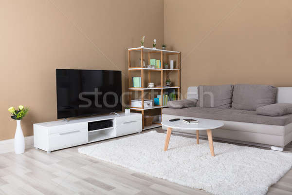Lakás televízió kanapé modern nappali ház Stock fotó © AndreyPopov