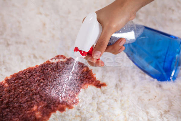 Personas mano limpieza mancha alfombra detergente Foto stock © AndreyPopov