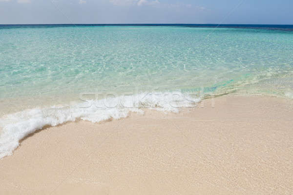 Waves rushing on sand at beach Stock photo © AndreyPopov