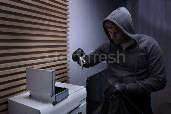 Jefuitor în picioare camera de zi calculator Imagine de stoc © AndreyPopov