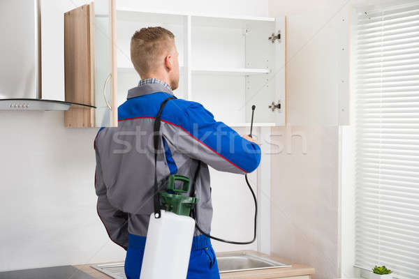 Worker Spraying Insecticide On Shelf Stock photo © AndreyPopov