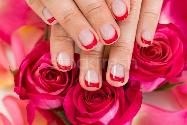 Hands With Manicured Nail Varnish Placed On Roses Stock photo © AndreyPopov