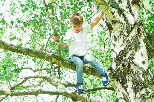 Boy Sitting On Tree Stock photo © AndreyPopov