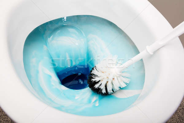 Person Cleans A Toilet With A Scrub Brush Stock photo © AndreyPopov