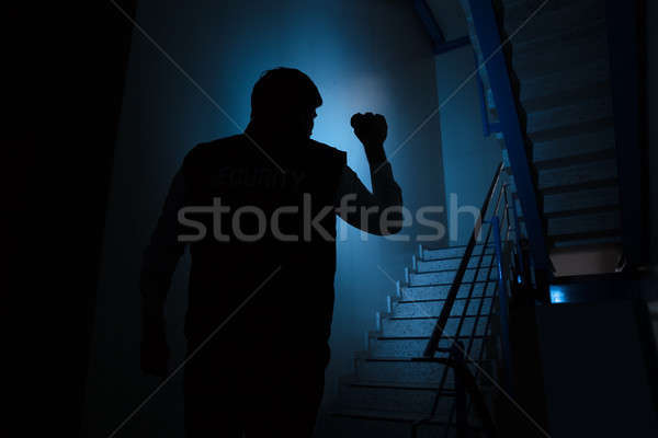 Stock fotó: Biztonsági · őr · áll · lépcsőfeljáró · hátsó · nézet · tart · elemlámpa
