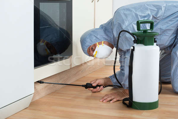 Exterminator Spraying Pesticide On Wooden Cabinet Stock photo © AndreyPopov