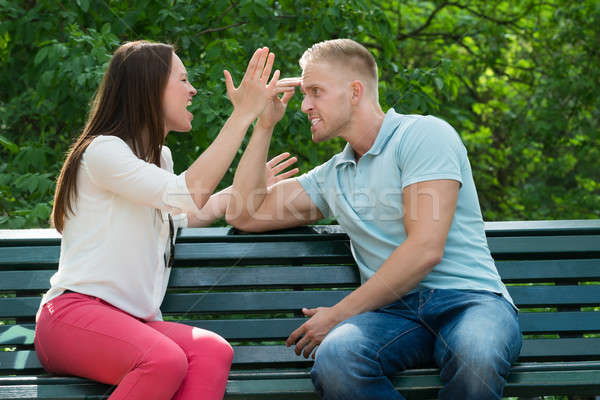 Stock photo: Couple Quarreling With Each Other