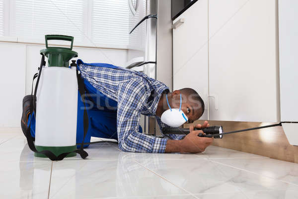 Worker With Mask Kneeling On Floor And Spraying Pesticide Stock photo © AndreyPopov