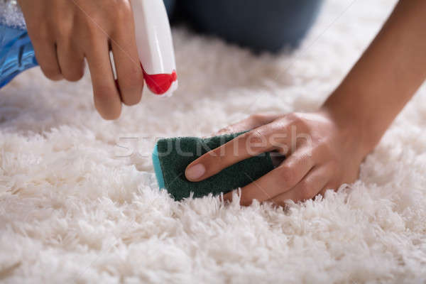 Foto stock: Primer · plano · personas · mano · limpieza · alfombra · esponja