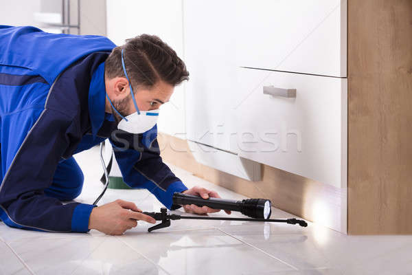 Man Spraying Pesticide In Kitchen Stock photo © AndreyPopov