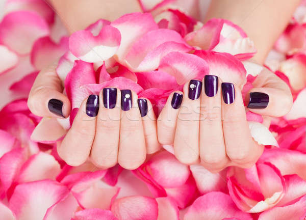 Woman with beautiful nails holding petals Stock photo © AndreyPopov