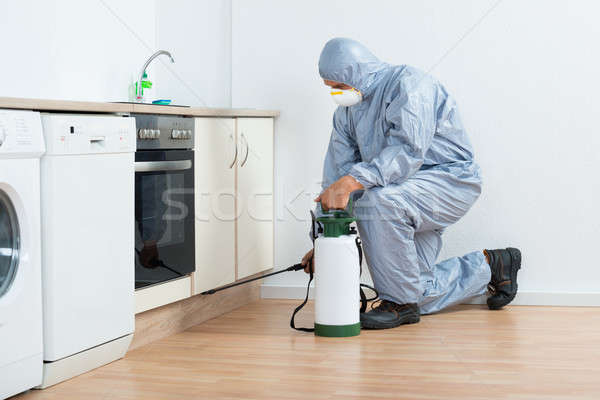 Exterminator Spraying Pesticide On Wooden Cabinet Stock photo © AndreyPopov