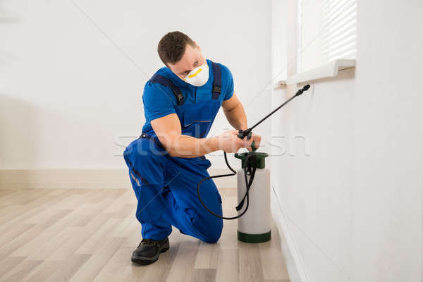 Worker Spraying Pesticide On Window Corner Stock photo © AndreyPopov