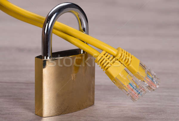 Chroniony Internetu związku sieci kabel kłódki Zdjęcia stock © AndreyPopov