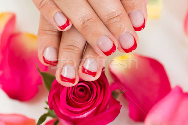 Hands With Manicured Nail Varnish Placed On Roses Stock photo © AndreyPopov
