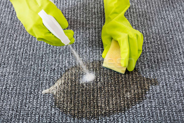 Close-up Of Person Hand Spraying Detergent On Carpet Stock photo © AndreyPopov