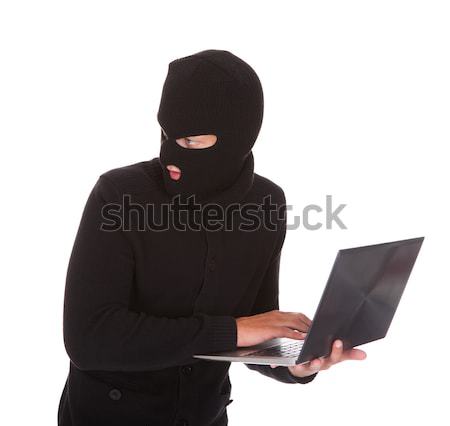 Burglar Using Laptop Stock photo © AndreyPopov