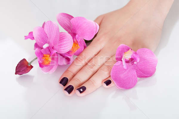 Orchids and beautiful nails Stock photo © AndreyPopov