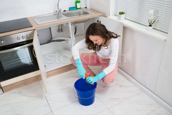 Woman Squeezing Wet Rag At Kitchen Room Stock photo © AndreyPopov