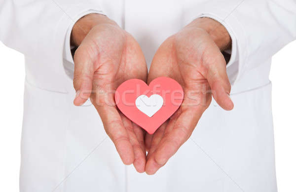Doctor Holding Heart Shape Symbol Stock photo © AndreyPopov