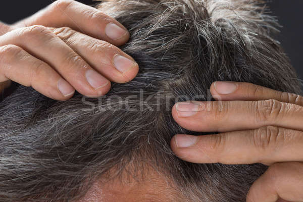 Férfi megvizsgál ősz haj közelkép haj férfiak Stock fotó © AndreyPopov