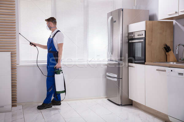 Trabajador químicos jóvenes masculina cocina casa Foto stock © AndreyPopov