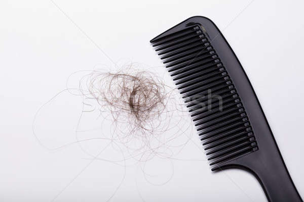Noir peigne cheveux perte blanche fond [[stock_photo]] © AndreyPopov