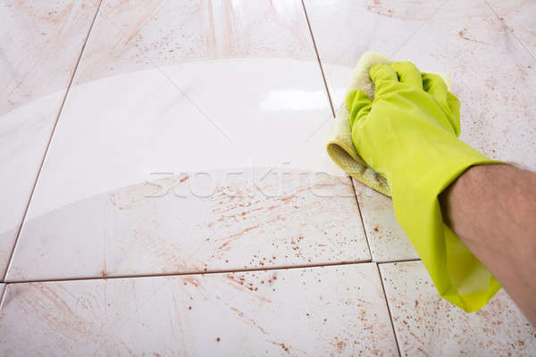 Hands In Rubber Gloves Scrubbing Kitchen Stock photo © AndreyPopov