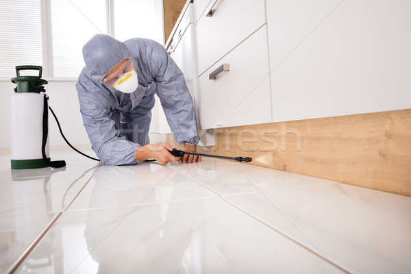 Exterminator Spraying Pesticide In Kitchen Stock photo © AndreyPopov