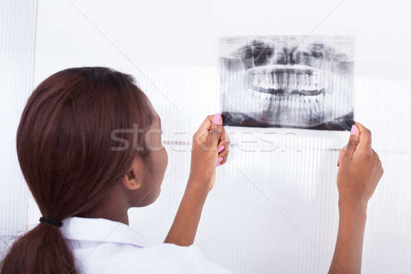 Dentist Looking At Jaw Xray Stock photo © AndreyPopov