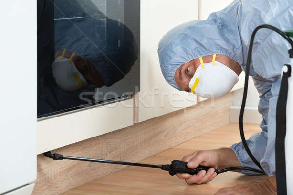 Exterminator Spraying Pesticide On Wooden Cabinet Stock photo © AndreyPopov