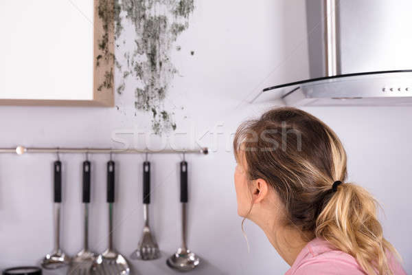 Kobieta patrząc pleśń ściany Zdjęcia stock © AndreyPopov
