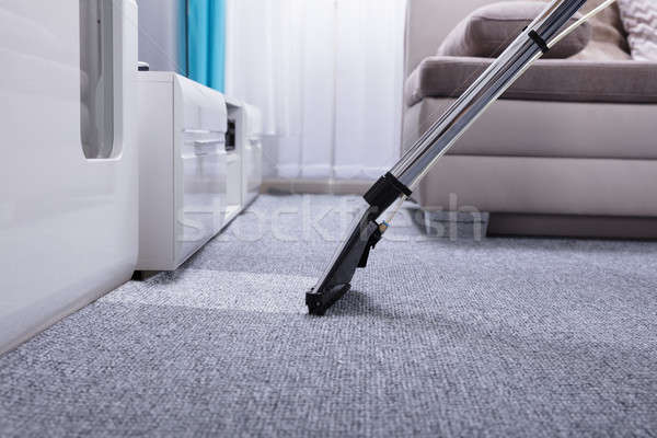 Stockfoto: Stofzuiger · tapijt · grijs · werk · home