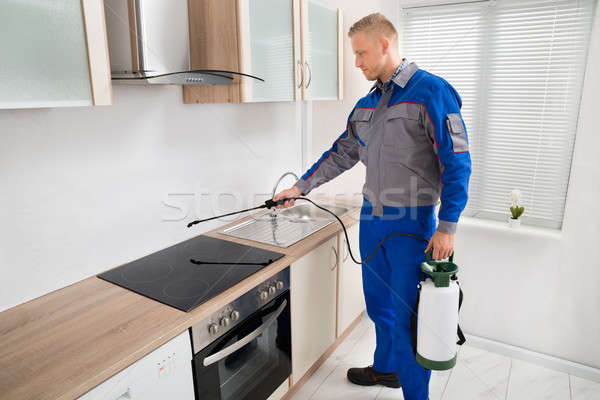 Pest Control Worker Spraying Pesticide On Induction Hob Stock photo © AndreyPopov