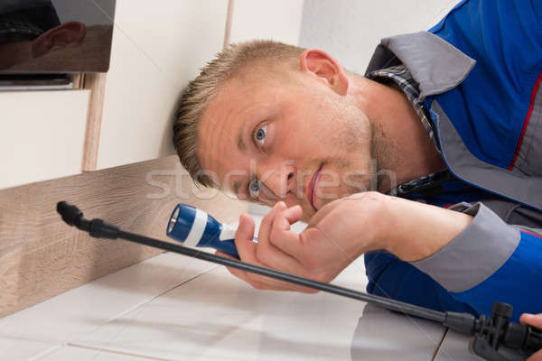 Worker Spraying Insecticide Stock photo © AndreyPopov