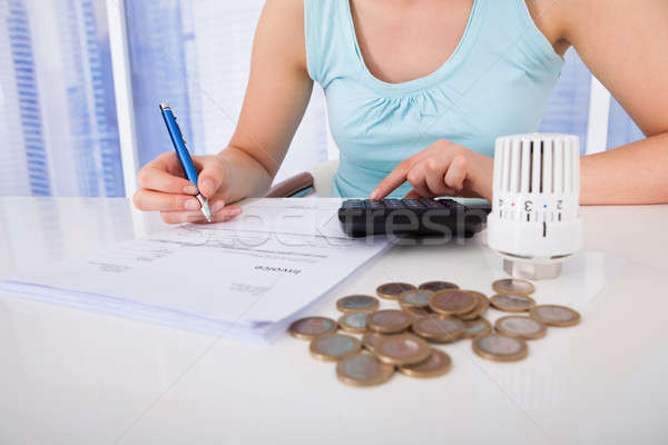 女子 硬幣 恆溫器 辦公桌 年輕女子 商業照片 © AndreyPopov