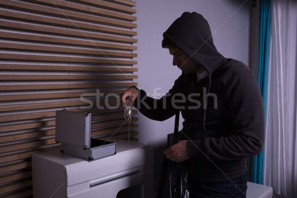 Ladrão em pé sala de estar computador Foto stock © AndreyPopov