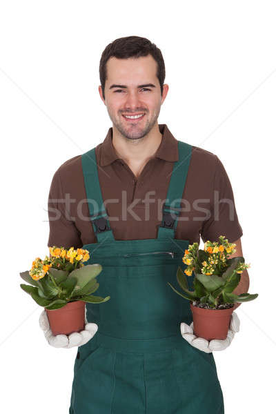 Happy young gardener holding flowers Stock photo © AndreyPopov