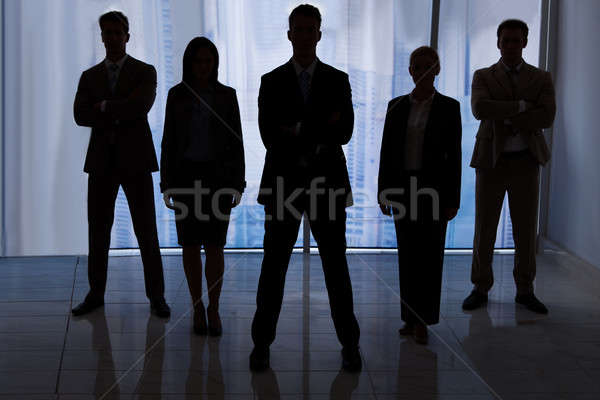 Silhouette Business People Standing In Office Stock photo © AndreyPopov